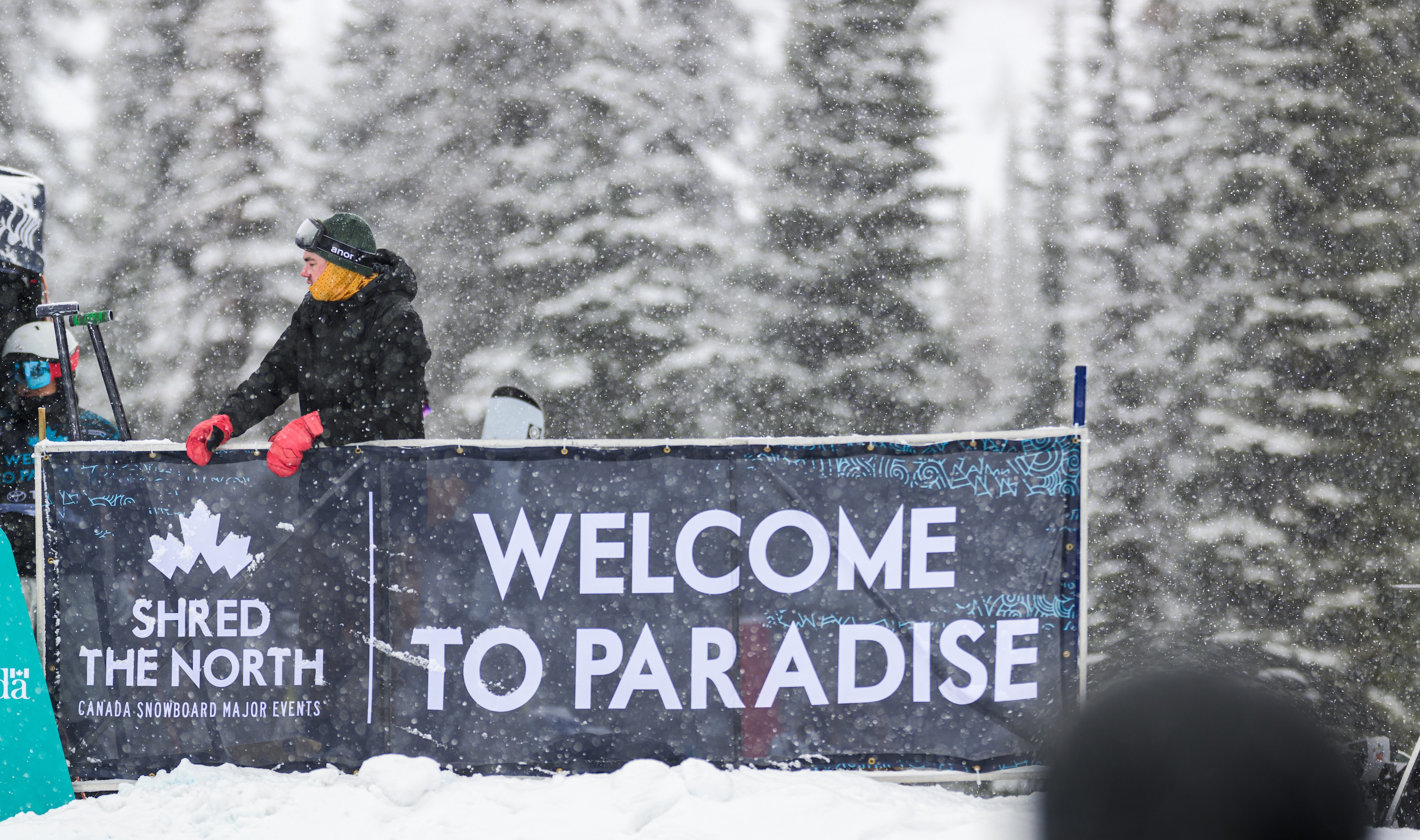 a sign that says "Welcome to Paradise" in front of snowy trees