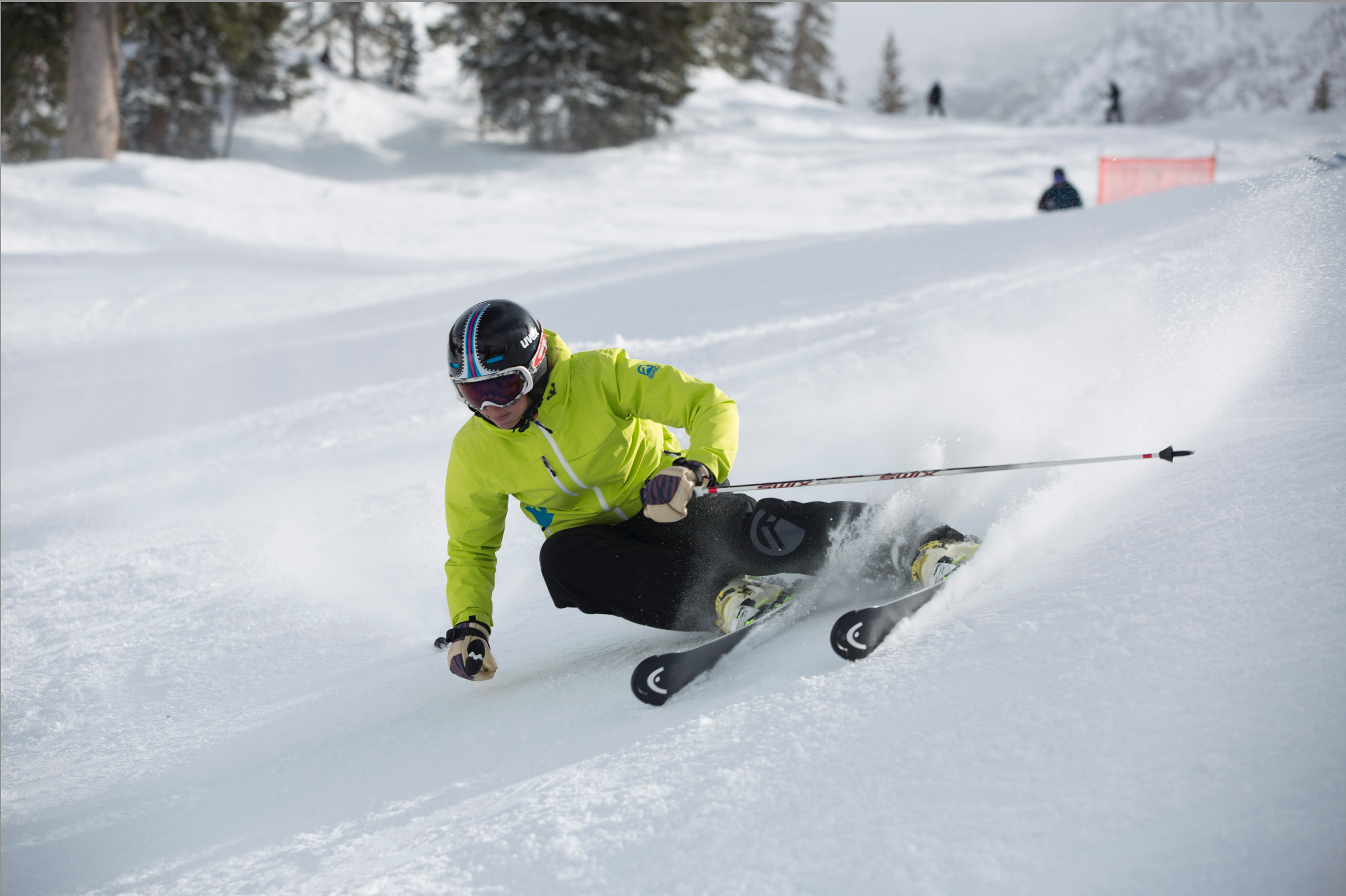 Lauren shredding