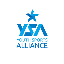 YSA