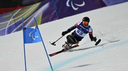 brewer ski