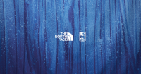 TNF_Banner