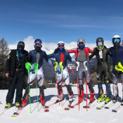 National Alpine Development Update