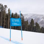 aspen
