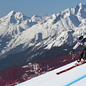 Alpine Official Membership