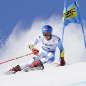 alpine skier