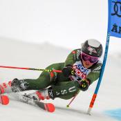 Alpine Coach Membership