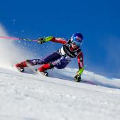 Women's Alpine Development Head Coach