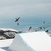Snowboard Project Gold