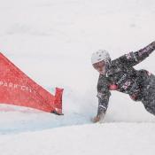 Snowboard Alpine Inscription