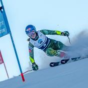 Alpine Competition Officials Education Resources