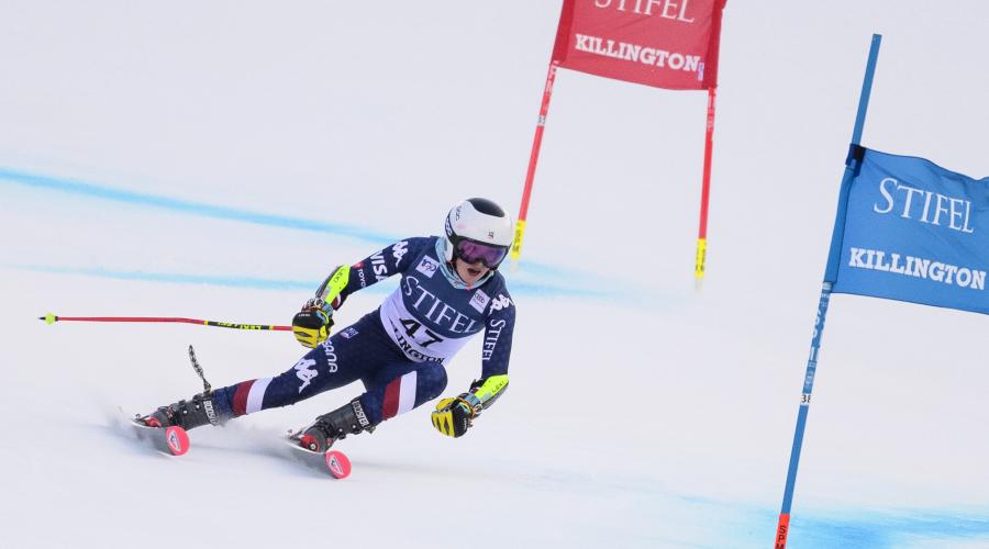 Alpine skier skiing around a gate