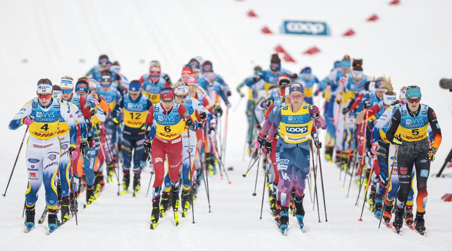 jessie diggins cross country skiing